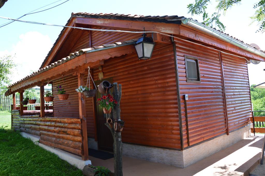 Guest House Kosharite Byala  Номер фото