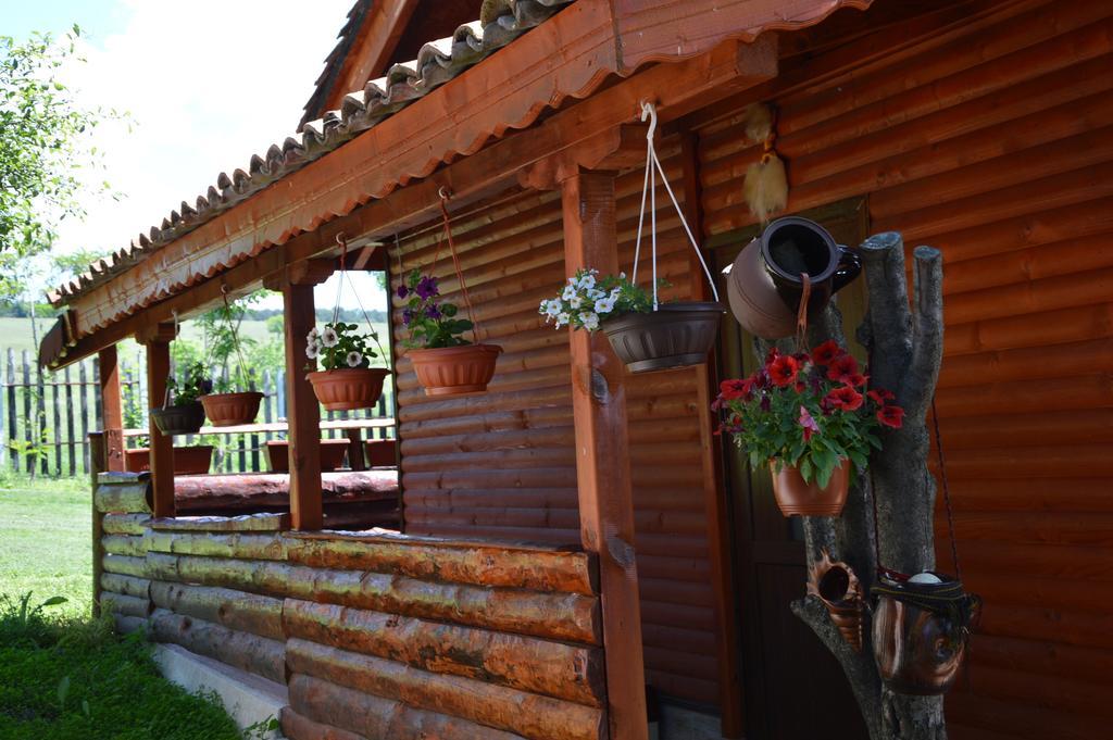 Guest House Kosharite Byala  Номер фото